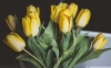 Sárga tulipán vászonkép több méretben